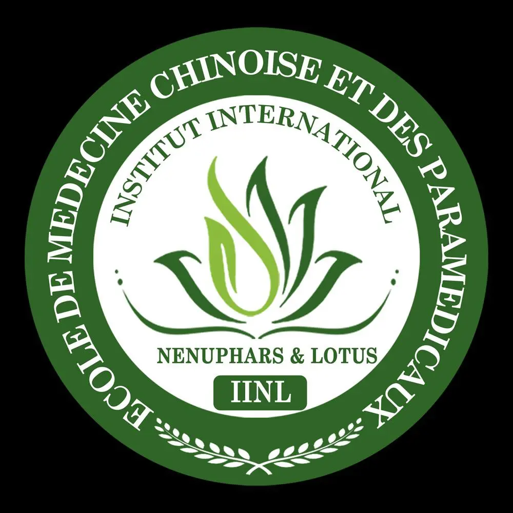 Logo IINL